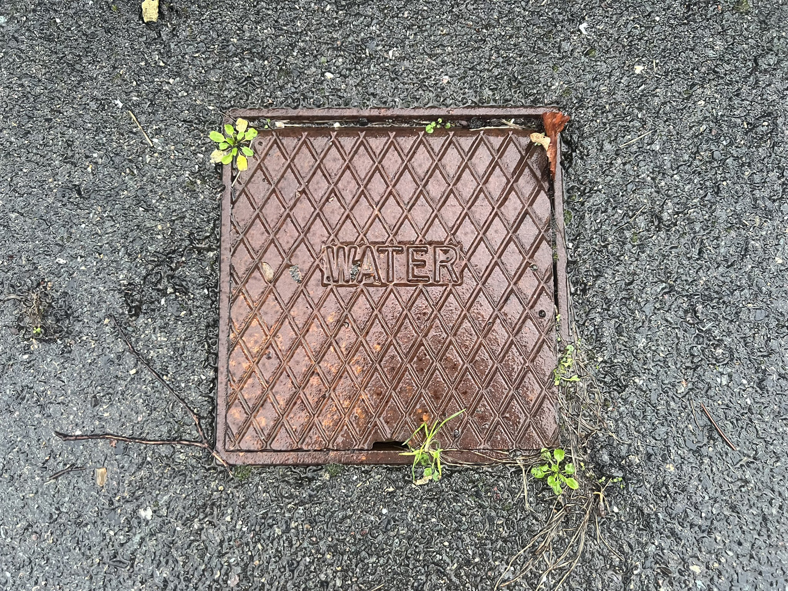 Portsmouth Water billing and meter comparison showing potential savings