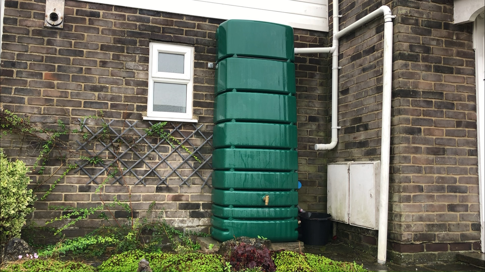Rainwater harvesting system with waterbutt and toilet connection
