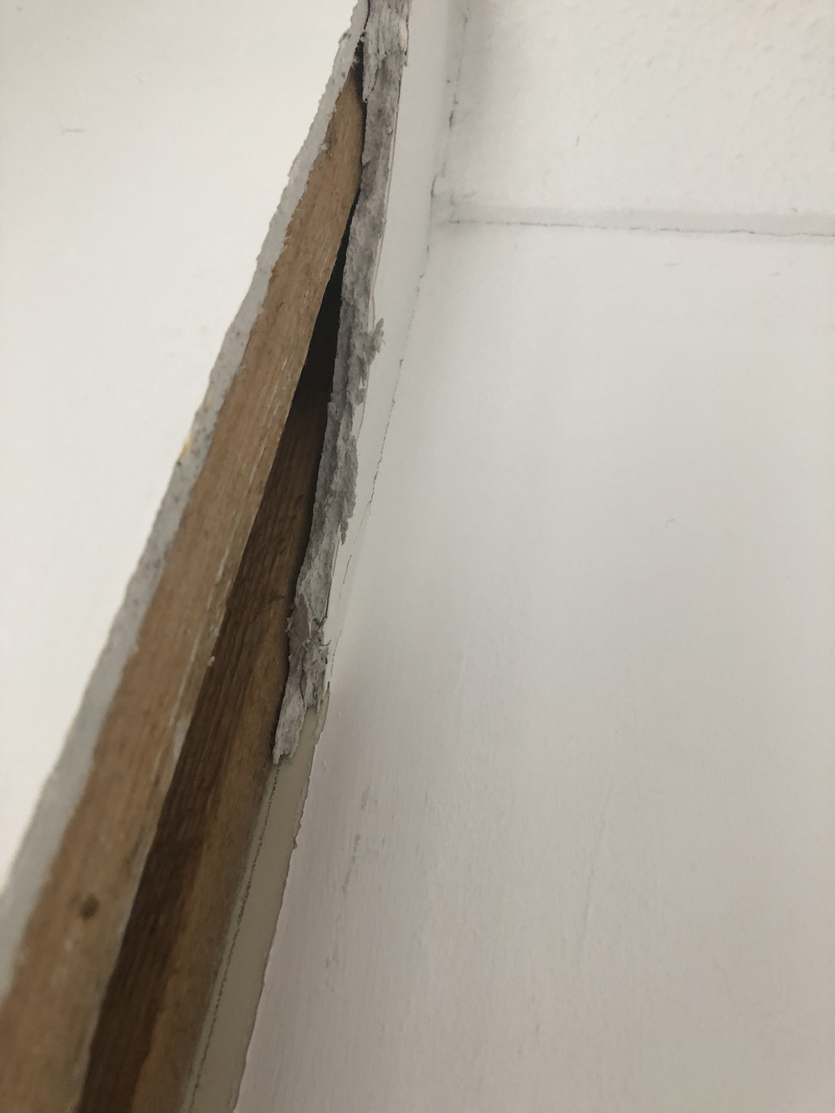 Boxing that looked exactly like plasterboard to untrained eye - no warning signs visible